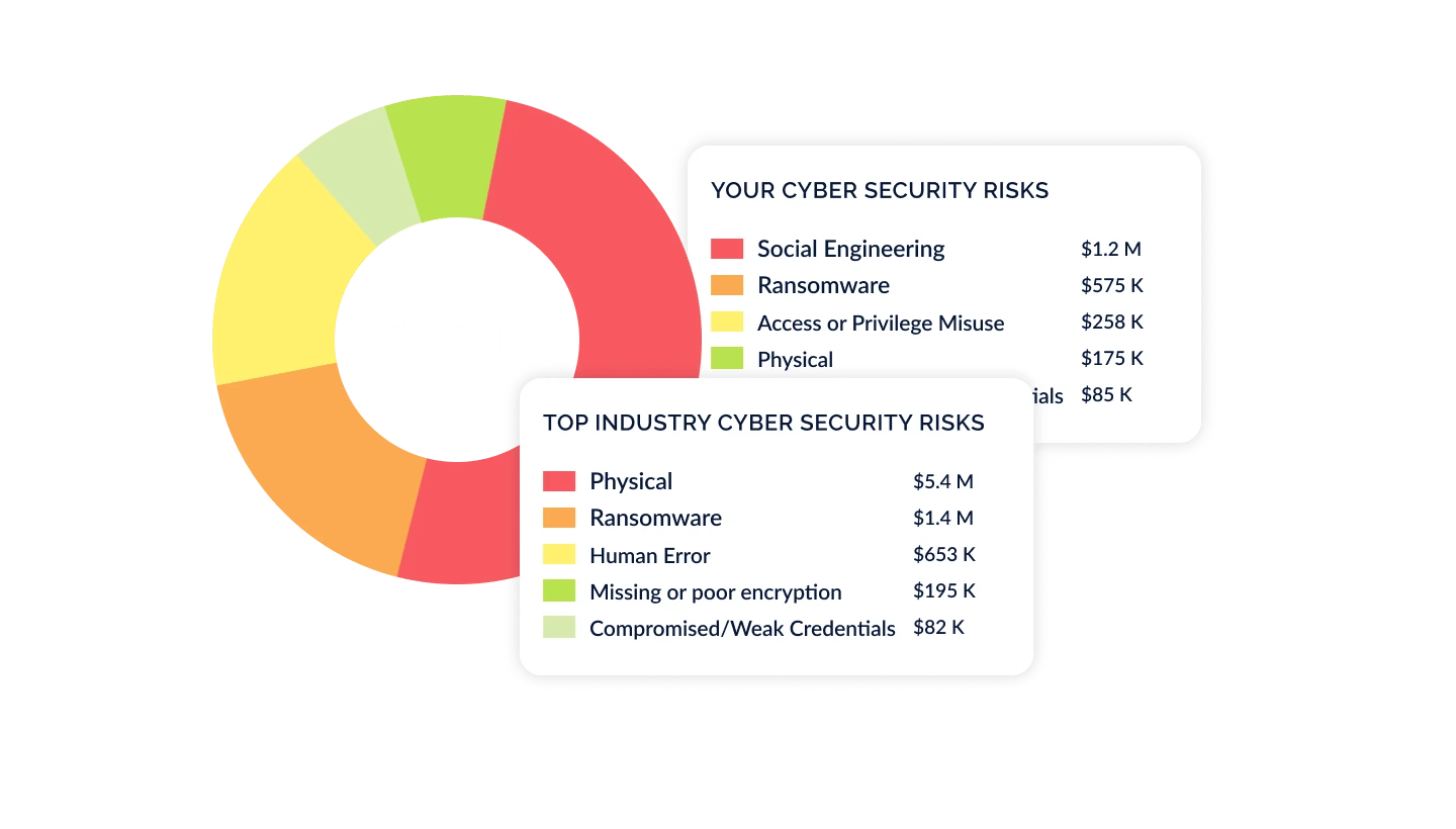 Cyber Security Risks
