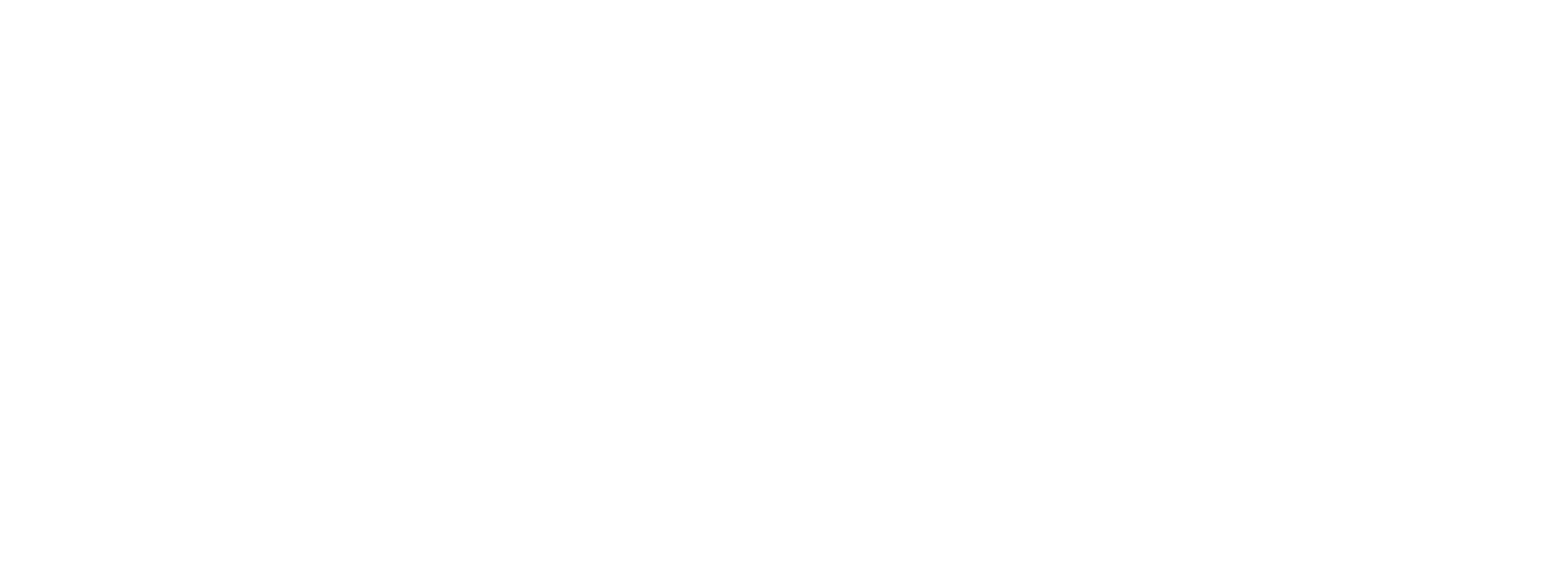Logo and wordmark_White_Large