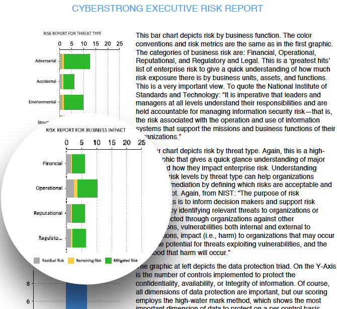 Executive Risk Reports