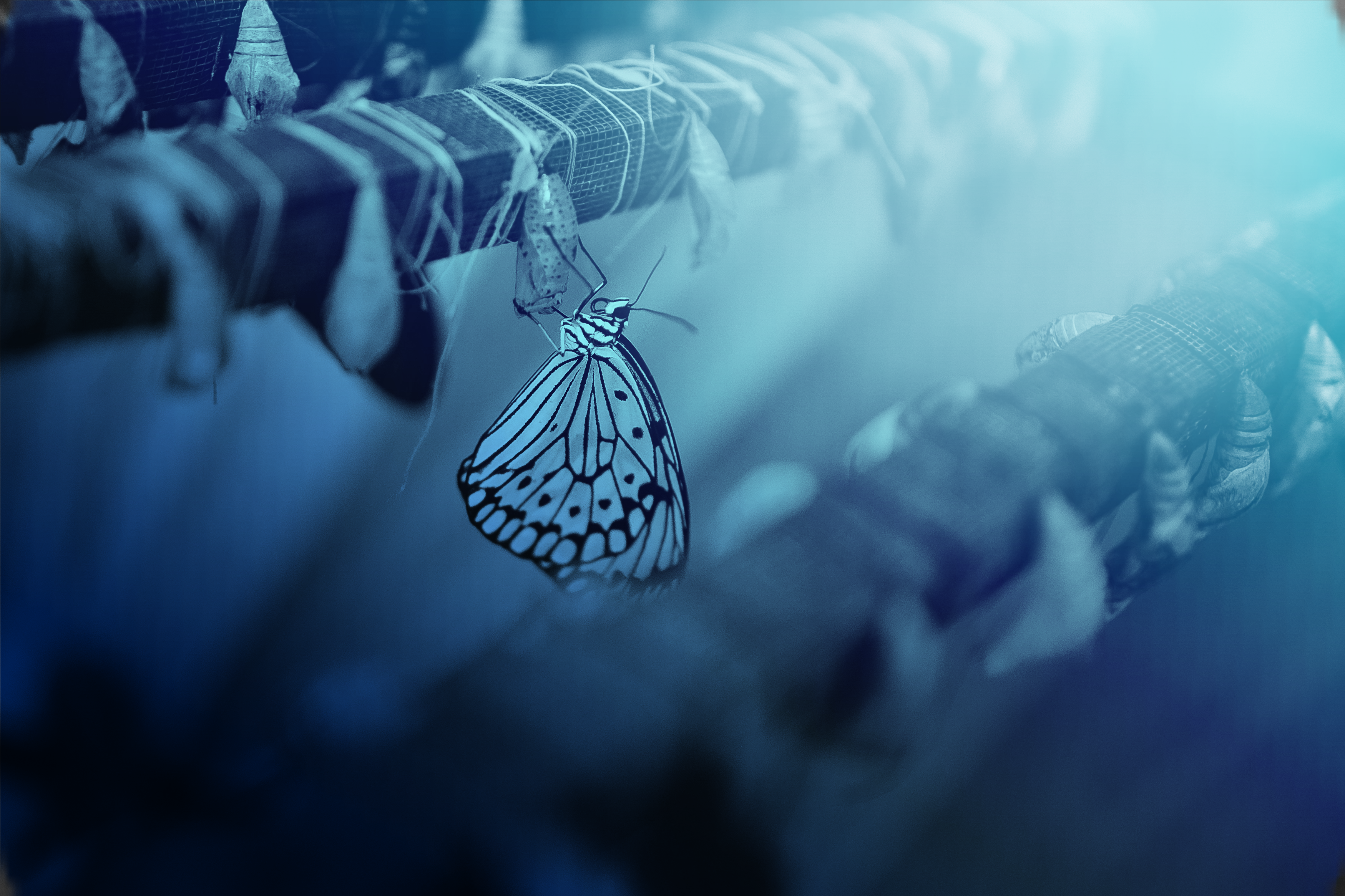 Embrace Digital Transformation in Risk Management and Compliance