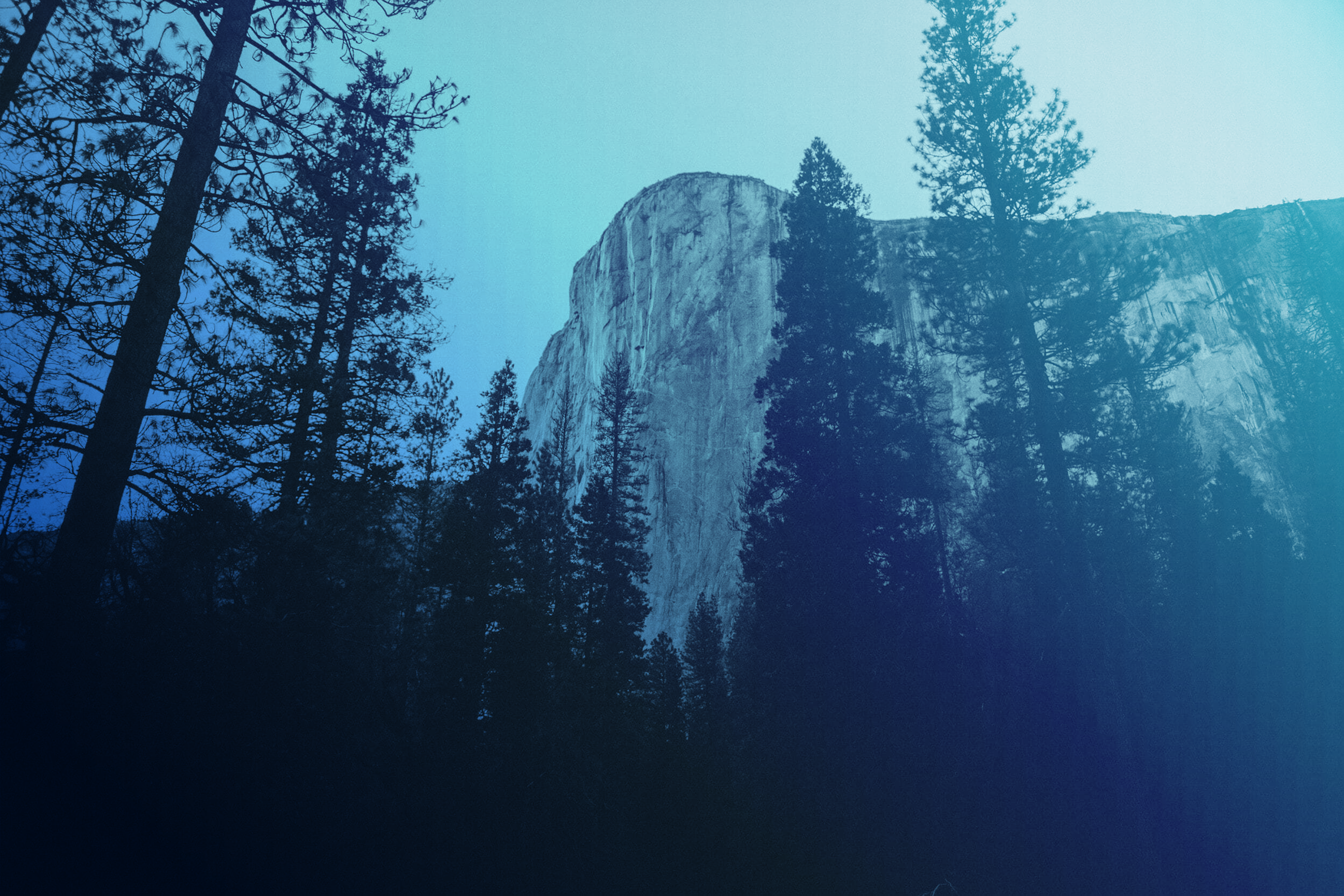 Taking a Risk Based Approach to Your Information Security Budget